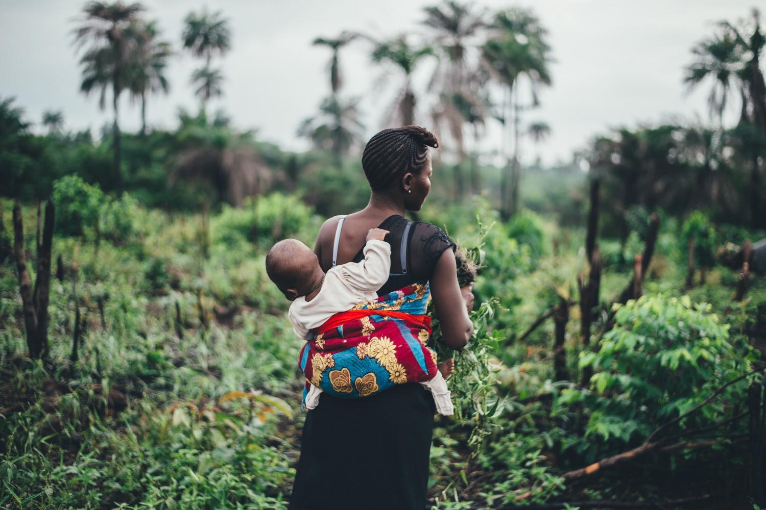 smallholder farmer
